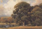 unknow artist Large Oak painting